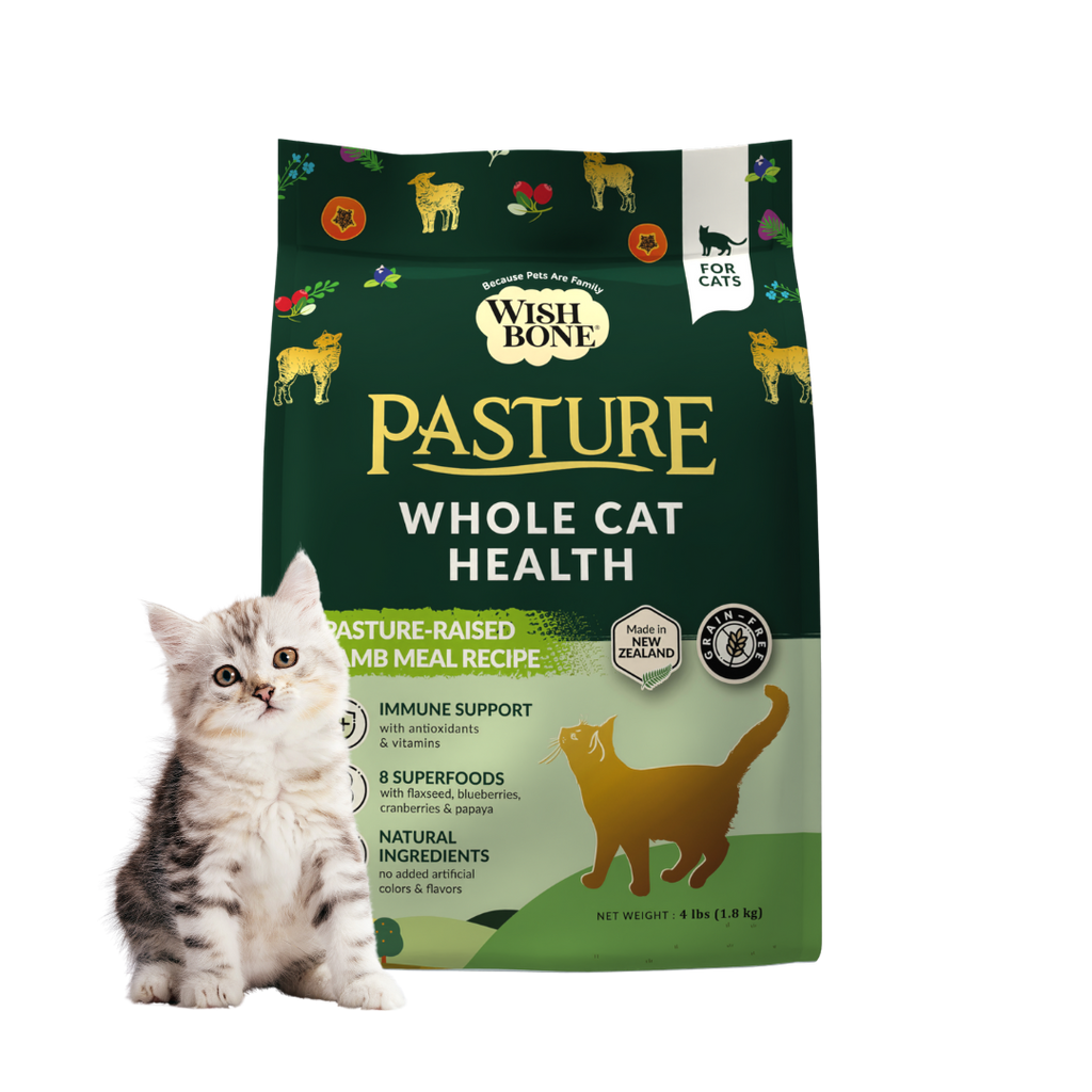 Wishbone Pasture New Zealand Lamb Gluten Free Grain Free Dry Cat Food for Overall Pet Health