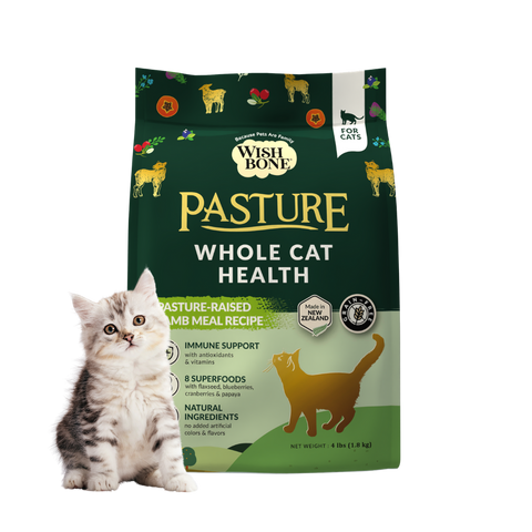 Wishbone Pasture New Zealand Lamb, Gluten Free, Grain Free Dry Cat Food for Overall Pet Health