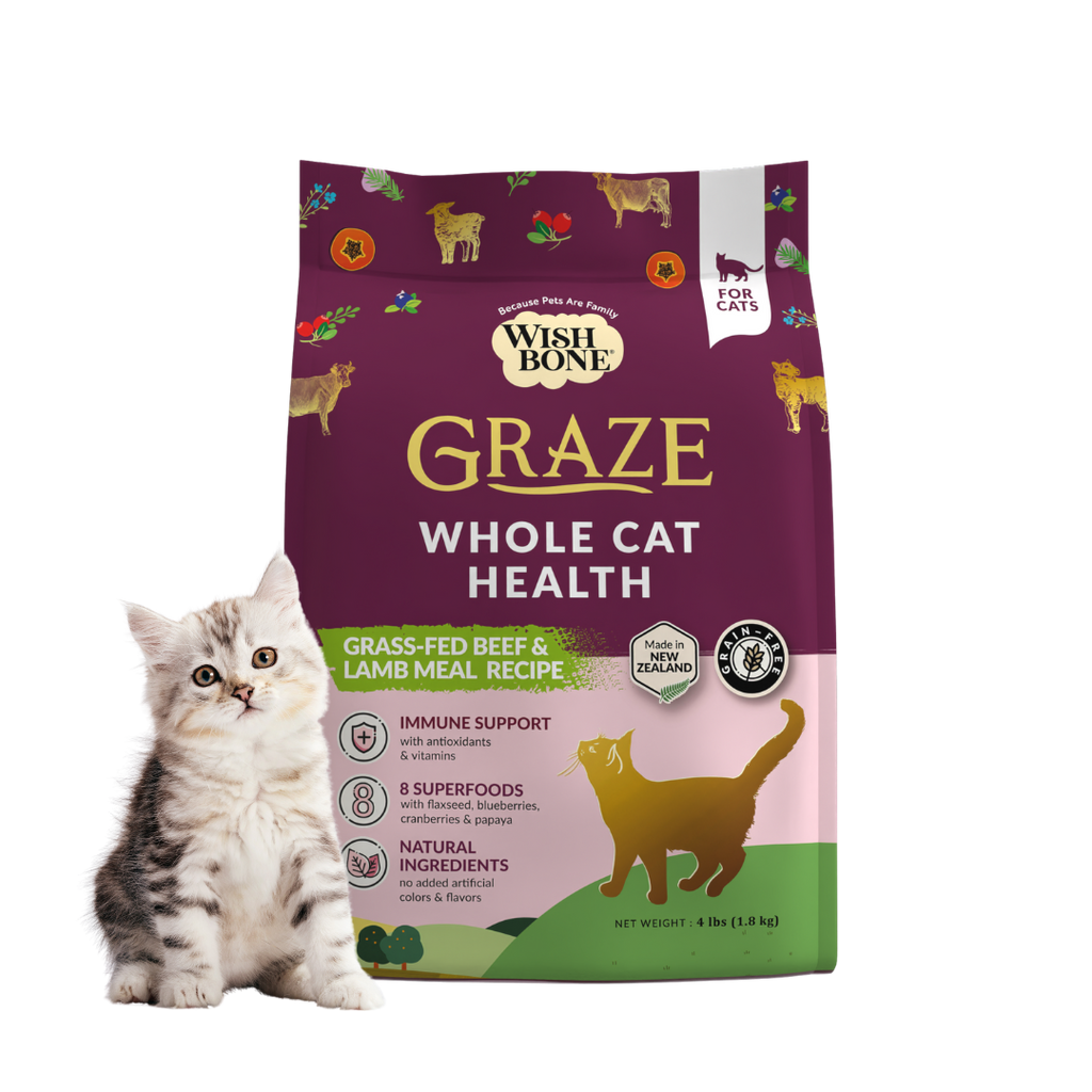 Healthy food for cats best sale