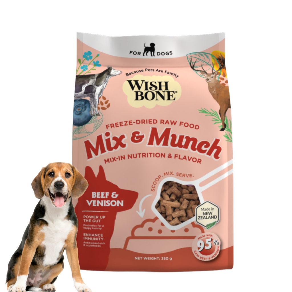 Crunch & Munch: Texture Explorations in Dog Food Crunch & Munch: Texture Explorations in Dog Food