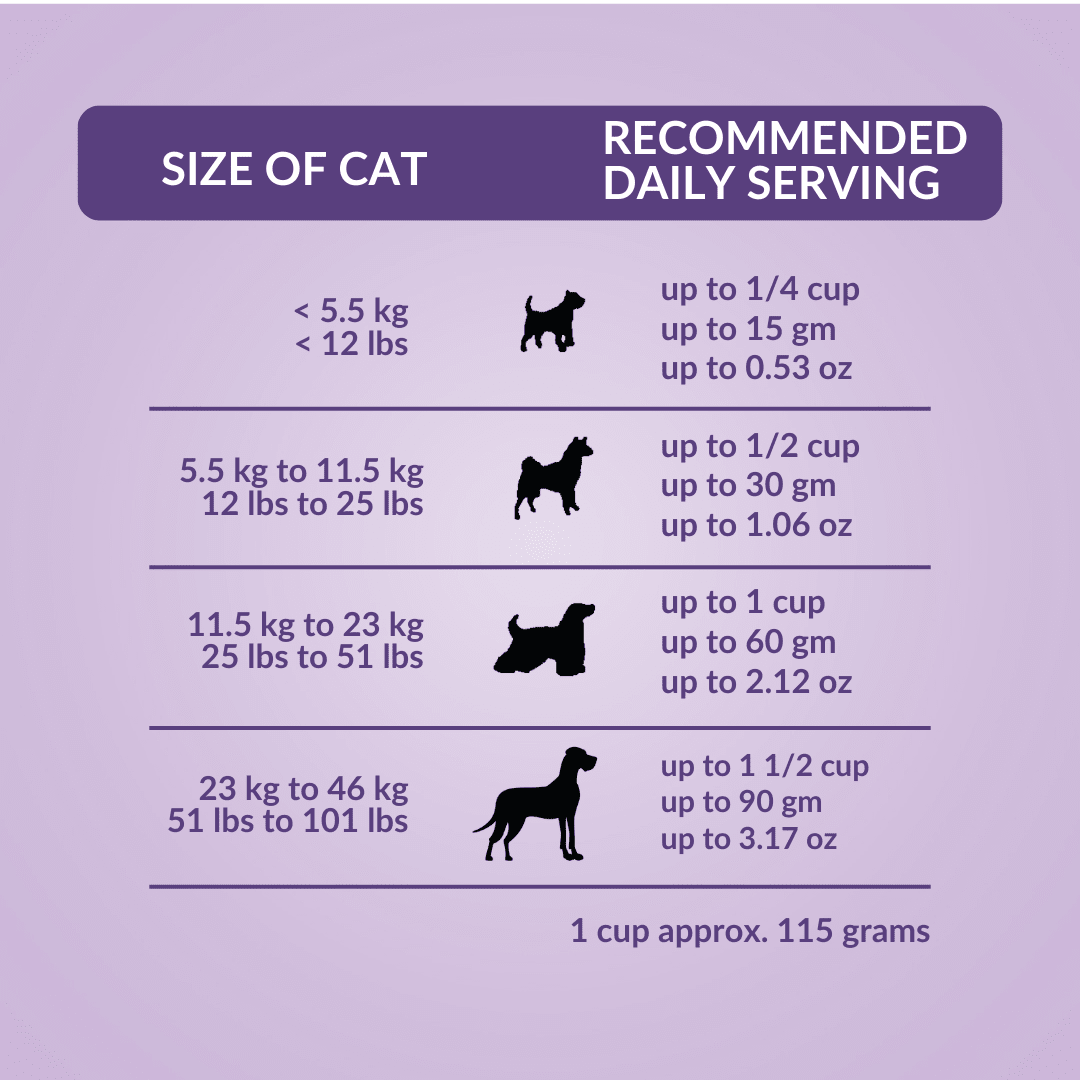 Wishbone Beef & Ocean Fish Freeze - Dried Raw Topper for Dogs 350g - Wishbone Pet Foods NZ