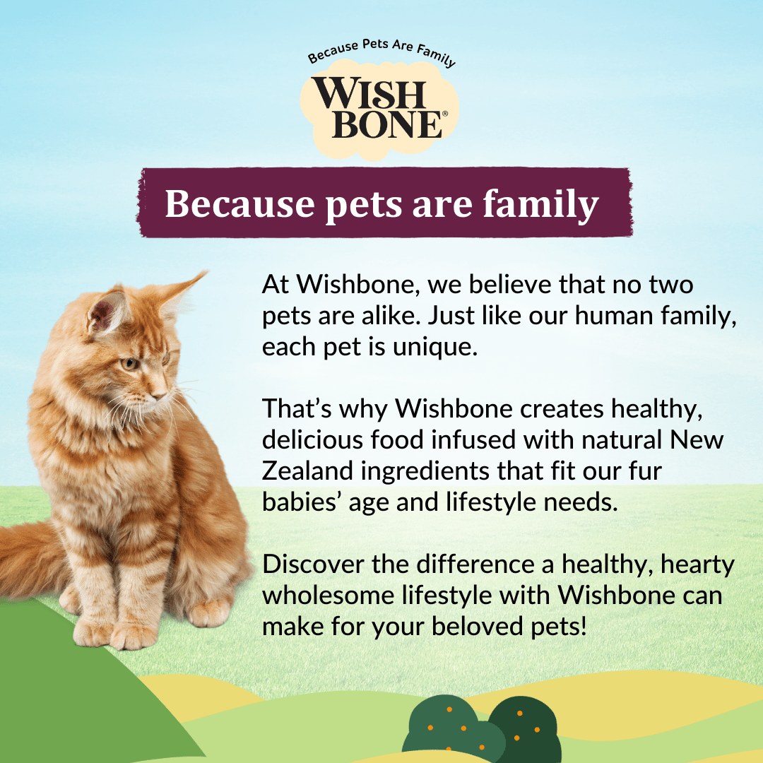 Wishbone Graze for Cats - New Zealand Beef and Lamb 1.8kg, 4.5kg - Wishbone Pet Foods NZ