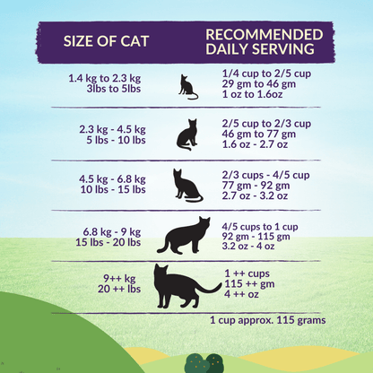 Wishbone Ocean for Cats - New Zealand King Salmon 1.8kg, 4.5kg - Wishbone Pet Foods NZ