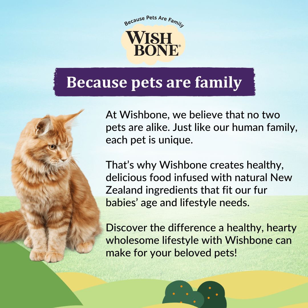 Wishbone Ocean for Cats - New Zealand King Salmon 1.8kg, 4.5kg - Wishbone Pet Foods NZ