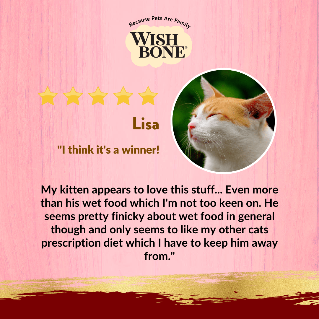 Wishbone Tuna & Beef - Cat Urinary Care Topper in Cans 85g - Wishbone Pet Foods NZ